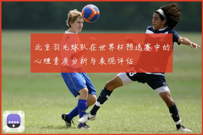 北京羽毛球队在世界杯预选赛中的心理素质分析与表现评估
