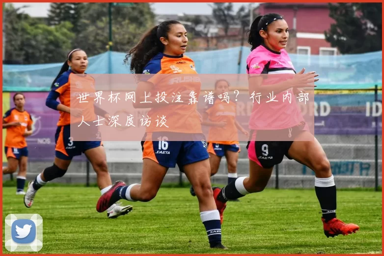 世界杯网上投注靠谱吗?行业内部人士深度访谈