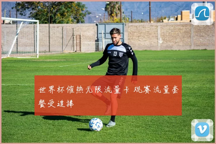 世界杯催热无限流量卡 观赛流量套餐受追捧