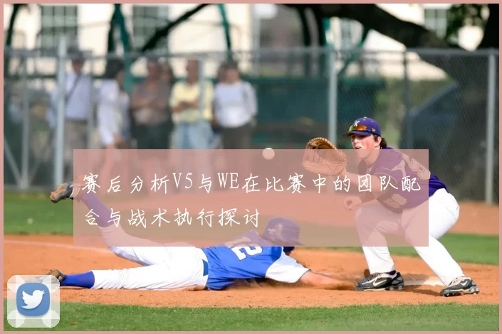 赛后分析V5与WE在比赛中的团队配合与战术执行探讨
