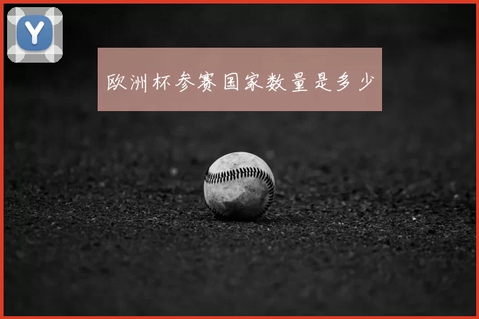 欧洲杯参赛国家数量是多少