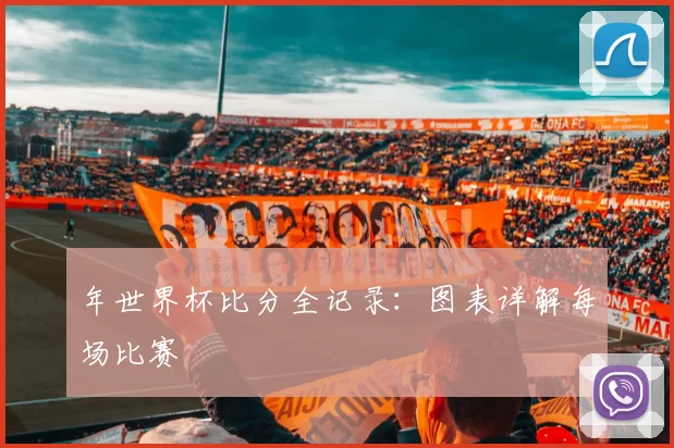 年世界杯比分全记录：图表详解每场比赛