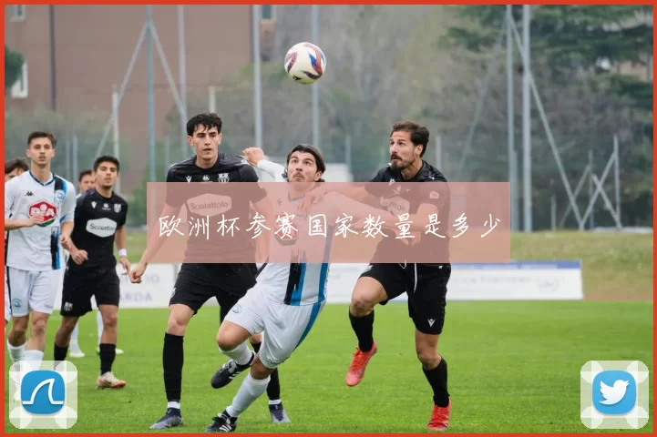 欧洲杯参赛国家数量是多少