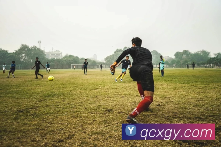 奖项证书